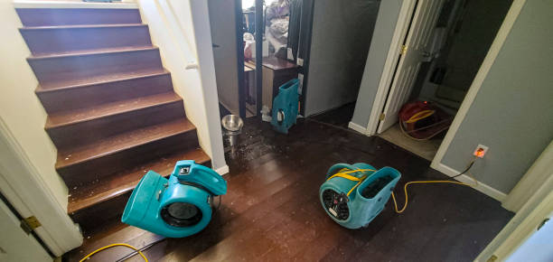 Best 24-hour water damage restoration  in Alturas, CA
