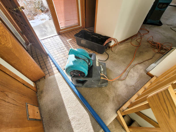 Best Water damage contractors near me  in Alturas, CA