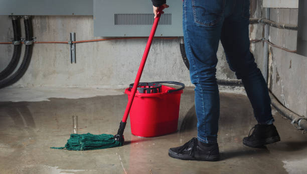 Best 24/7 water damage repair  in Alturas, CA