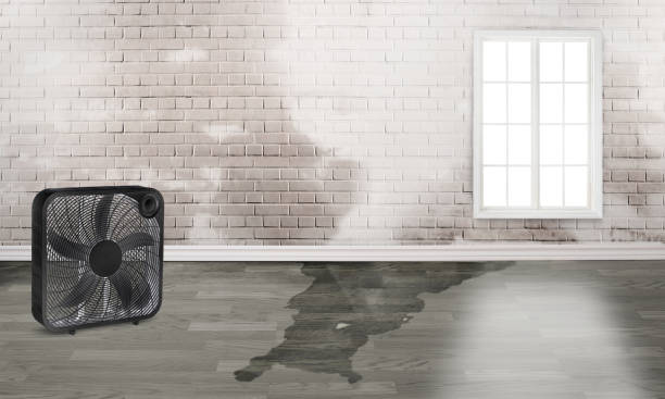 Alturas, CA Water damage restoration Company
