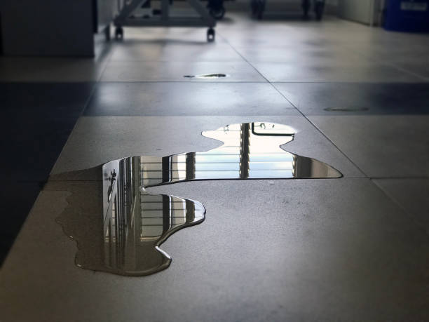 Best Professional water damage repair  in Alturas, CA