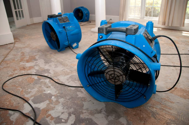 Best Water damage restoration experts  in Alturas, CA