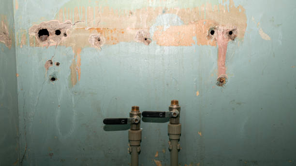 Best Water damage restoration process  in Alturas, CA