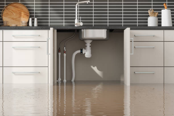 Best Local water damage restoration  in Alturas, CA